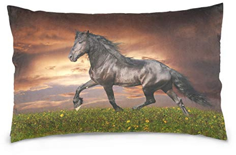 Linomo Kissenbezug 40x60 cm, Tier Schwarz Pferd Dekorative Kissenbezug Kissenhülle für Couch Sofa Bett Hause