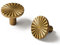 SORWDUERM Lot de 10 Boutons de Porte et Poignées de Tiroir en Laiton Vieilli - Style Plat pour Cuisine Salle de Bain Commode Zinc