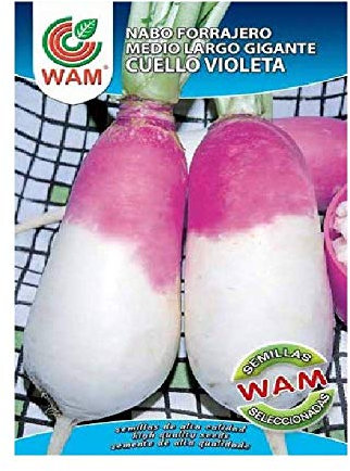 Semillas WAM de Nabo Forrajero Medio Largo Gigante de Cuello Violeta - Caja de 250 gr