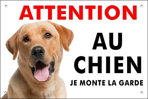 Pubblimania Labrador retriever Panneau signalétique pour chien en aluminium rigide, d’une épaisseur de 3 mm (20 x 30 cm)