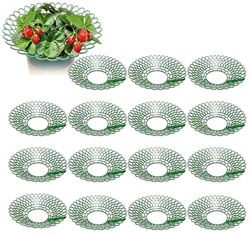 NANASUGUR 15 Stück Erdbeerstützen Ständer, Erdbeergitter, Abnehmbares Erdbeeren Schutz, Erdbeerregal für Erdbeeren Pflanzen, Schneckenschutz und Schutz vor Fäulnis Schimmel