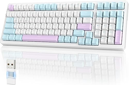 YINDIAO K96 Wireless Mechanical Keyboard,Bluetooth/2.4Ghz Wireless,Type C/USB A 2-in-1 Receiver,Hot Swappable,100 Keys Compact 96% Layout Gaming Keyboard with Numpad,EVA Foam,Red Switch,for PC,Mac