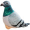 LGWJHCY Taube Plüschtier, Kuscheltier Taube Vogel Plüschtier, Puppe für Kinder, Stofftier Taube Geeignet für Jungen, Mädchen Geburtstagsgeschenk Lustige Spielkameraden Zimmer Dekoration(20 cm)