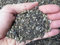 Tierra, sustrato profesional para plantas suculentas (cactus - crasas) (Top Cactus - Geosism) (1 lt)