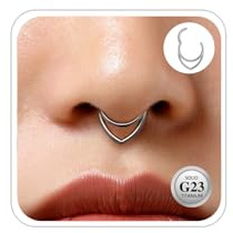 ESHIONER G23 Titan Conch Piercing Schmuck Helix Gold Silber Hoop Septum Rook Tragus Daith Piercing Hinged Segment Clicker 16G 8MM 10MM 12MM Nasenring Double Creolen Helix Knorpel Ohrringe für Damen