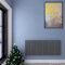 Acezanble∣Horizontal Designer Flat Panel Radiator Anthracite 600x1428mm Single Panel Central Heating