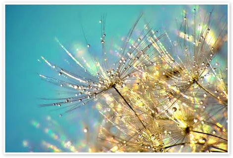 Pusteblume Türkis mit Gold Poster von Julia Delgado 130 x 90 cm Wandbilder Wanddeko