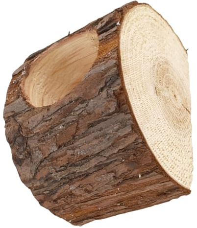 GANAZONO Maceta de Madera Natural para Suculentas Diseño Rústico de Tocón Maceta Creativa para Plantas para Jardín Oficina y Balcón