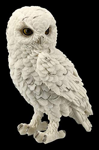 Figuren Shop GmbH Schneeeulen Tier-Figur - Snowy Watch klein | Vogel-Figur, Deko-Figur, Deko-Artikel, Statue, Skulptur, H 14,5 cm