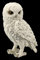 Figuren Shop GmbH Schneeeulen Tier-Figur - Snowy Watch klein | Vogel-Figur, Deko-Figur, Deko-Artikel, Statue, Skulptur, H 14,5 cm