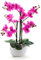 DARO DEKO Kunst-Pflanze Orchidee (ovaler Topf weiß Hochglanz und lila Blüten 53cm)