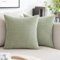 MIULEE 2er Set Kissenbezüge Kordsamt Dekokissen Kissenbezug Sofakissen Dekorativ Couchkissen Kissenhülle Bezug Weich für Wohnzimmer Schlafzimmer 40x40 cm Bohnengrün