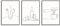 Dazzlewall 3er Set Minimalistische Linie Küche Wandbilder, Schwarz Weiß Abstrakte Linie Leinwand Bilder für Esszimmer Coffee Bar Wohnzimmer Deko 30×40 cm Ungerahmt