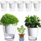 Lot de 5 Grands Pots de Fleurs Transparents de 11,9 cm à arrosage Automatique - Pots de Fleurs en Plastique Absorbant l'humidité pour Plantes d'intérieur