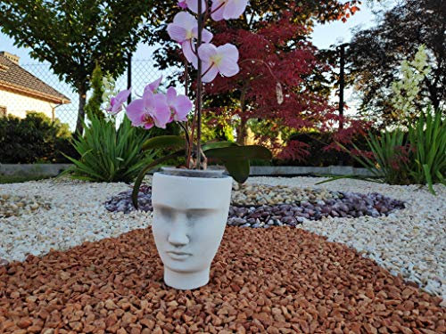 Ornement de Jardin en Pierre - Petit Pot de Fleurs Original - Visage de Femme