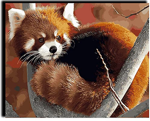 FACAILE Peinture par Numéro Adulte panda roux 40x50cm Bricolage Tableau Peindre par Nombre pour Enfants Jouets à peindre, cadeaux peints à la mainHome Decor, Taille unique