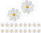 20pcs Daisy Flower Patch,Daisy Flower Embroidered Patches,DaisyFlower Iron on Patchesfor Clothing,Embroidered Repair Patches for Embroidery Repair DIY Crafts T-Shirt Pants Bags Hat Jeans(White)