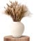 SPRINGSY 100 Stück Trockenblumen Deko Pampasgras Getrocknet - Schilfblume Deko - Federartige Blütenstände - Vielseitige Boho Deko für Vasen - Pampasgras Deko Wohnzimmer, Hochzeiten