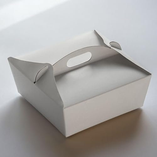 Contenitore per alimenti - Take Away con manico - Formato Large - 190 x 190 x 75 mm - alimentarietà certificata - senza PB o inchiostri di stampa. Made in Italy - 50 pezzi