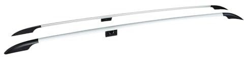 TURTLE Für Mercedes-Benz Vito (W447) 2015-2024 / ExLanges Chassis Gold Dachreling | GRAU