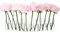 Glasvase, kleine Glasvase für Tischdekoration, aufklappbare Blumenvase, Reagenzglasvasen für Tafelaufsätze, Minivasen, Blumenvasen für Hochzeiten, Geburtstage, Festivals (12 Stück)