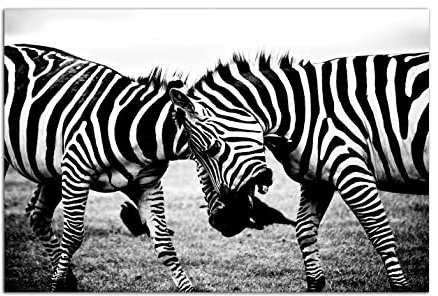HOPNRU Afrikanische Savannah Zebra Wandkunst Bild Schwarz -Weiß -Tier Paar Zebra Umarmung Poster Print Leinwand Malerei moderne Wohnzimmer dekoration (30x45cm-Ohne Rahmen)