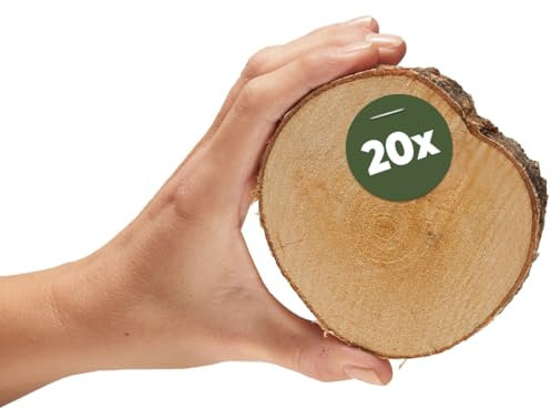 Kleine Holzscheiben zum Basteln oder Dekorieren - 20 Stück naturbelassene Mini baum-scheiben mit 8-10cm Durchmesser aus birken-holz - runde Holz Birkenscheiben als Holzdeko Holzplatten