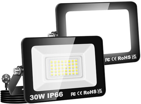 Willpower 2PCS Faretto LED Esterno 30W 3000LM, Faro LED con Spina 6000K Bianco IP66 Proiettore Luce di Sicurezza a Illuminazione per Garage Giardino Cortile Patio Piazza Officina