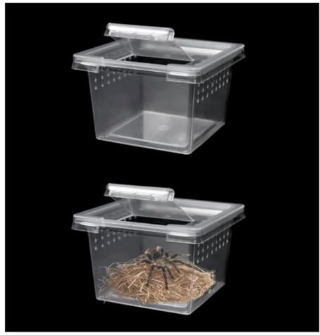 AMYSTY Terrarium Schnecken 10 Packungen Insekten Spinne Terrarien Zucht Box Schraffur Container Springspinne Terrarium