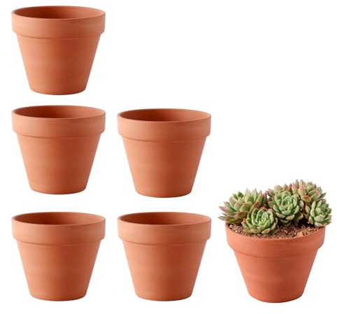 FDKene Lot de 6 Pots en Terre Cuite 12 x 10 cm, Petits Pots de Fleurs avec Trou de Drainage, Mini Pots Réutilisables pour Succulentes, Cactus, Semis, Bricolage, Intérieur, Bureau, Jardin