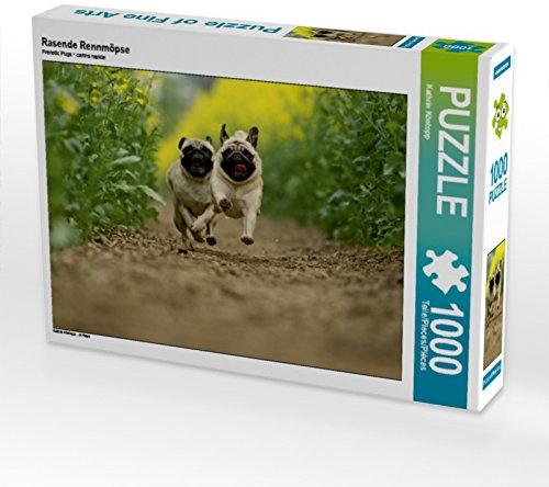 CALVENDO Puzzle Rasende Rennmöpse | 1000 Teile Lege-Größe 64 x 48 cm Foto-Puzzle für glückliche Stunden