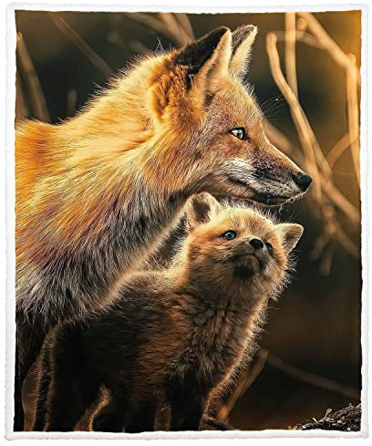 Zomer Sherpa Decke 150 x 200 cm Kuscheldecke Flauschige Wohndecken Mikrofaser Superweiche warme für Winter Fleece Couchdecke/Sofadecke TV-Decke mit Fox Eltern-Kind Motiv