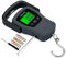 Digital Hanging Luggage Scale with Comfortable Handle and Large Hook, 110lb/50kg, Backlit Portable Scale for Travel Fishing with Tare/Hold Function, AAA Batteries Included, Grey, Grey
