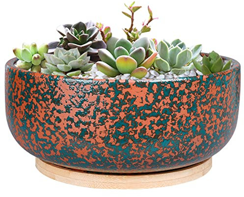 G EPGardening Pot de Fleurs en Terre Cuite de 20,5 cm avec Trou de Drainage Rond Peu Profond pour bonsaï avec Soucoupe en Bambou pour Plantes d'intérieur Vert