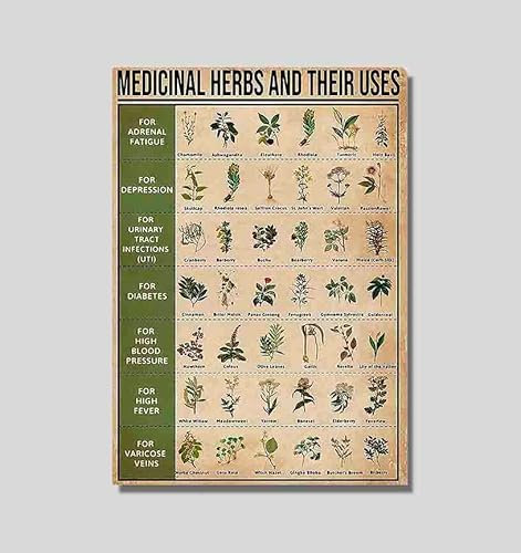 Art By Avardan Science Lernposter, Knowledge-Poster, ungerahmt (Heilkräuter und ihre Verwendungszwecke, 297 x 420 mm)