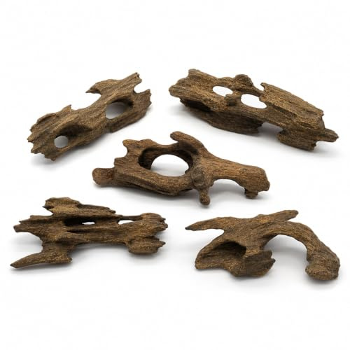 GUHIRALONA Treibholz, Aquarium Deko 5 Stück, Natürliche Wurzel Dekoration für Aquarien und Terrarien, Zufällige Formen 5-10 cm, Geeignet für Fischverstecke und Moosgestaltung