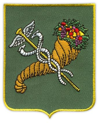 Wappen der Stadt Charkiw, bestickt, zum Aufnähen