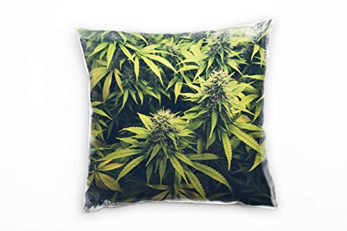 Paul Sinus Art Natur, Cannabis, Marihuana, grün Deko Kissen 40x40cm für Couch Sofa Lounge Zierkissen - Dekoration zum Wohlfühlen