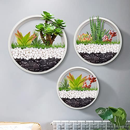 Paquete de 3 macetas colgantes de pared – moderna cesta de pared redonda vertical maceta para decoración interior y exterior jarrón soporte para plantas de aire suculentas, cactus, hierbas(blanco)