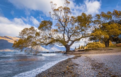 GUOHLOZ 1500 Piece Jigsaw Puzzles for Adults | Jigsaws 1500 Pieces for Adults | Jigsaw Puzzle Presents for Women | Adult Jigsaw, Tree, New Zealand, 87x57cm