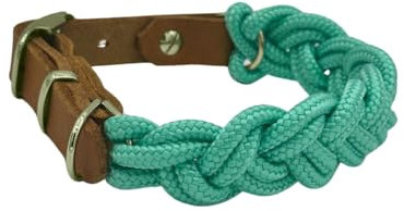 Pfoten Chic geflochtenes Tau Halsband | Tauhalsband geflochten für Hunde mit edlen Leder Applikationen | Leder Halsband (Mint, Beschläge Gold)