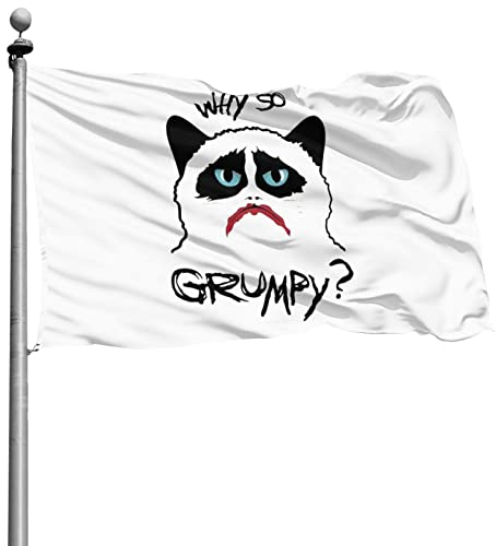 90X150cm Outdoor Flagge Warum So Mürrisch Garten Flagge With Metal Grommets Feiertage Flags Perfekte Yard Sign Décor Für Veranda Bauernhof Festival