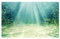 MZPOZB Juwel Rückwand 3D Aquarium Hintergrund Poster PVC Kleber Aufkleber Aquarium Unterwasser Welt Hintergrund 3D Ozean Meer Pflanzen Hintergrund Aufkleber(White,50x100cm)