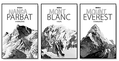 IBUKHSDGYIFH Schwarz und Weiß Landschaft Poster Leinwand Malerei Mont Blanc Nanga Parbat Mount Everest Druck Wandkunst Bilder Moderne Wohnkultur Ungerahmt-30x40cmx3
