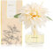 Diffuseur de Parfum 210ml, avec Fleurs Reed Diffuser Set, d'agrumes Parfum d Ambiance Maison, Decoration pour Chambre, Salon, Salle de Bain, Bureau