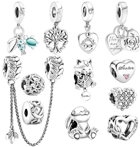 MLPKOI Lot de Breloques pour Bracelet, Charms de Combinaison pour Femme Compatible Européen les Bracelets et les Colliers Idée Cadeau pour Maman, Voyage ou Anniversaire