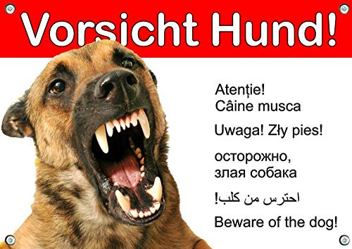 Petsigns Hundewarnschild Malinois - Metallschild - wetterfest, DIN A4