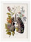 Nacnic Anatomisches Poster der Bronchien Illustration menschlicher Körperteile mit Blumen A4 Weißer Rahmen