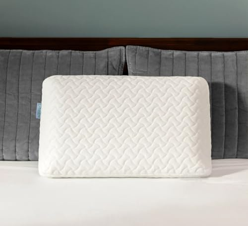 Ecosafeter 2025 Density Memory Foam Pillow-Ergonomic Neck Pillow for Deep Sleep For Side,Stomach,Back for Neck Pain Removable Washable Cover