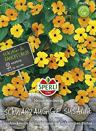 Sperli 86629 Schwarzäugige Susanne (Schwarzäugige Susannesamen)